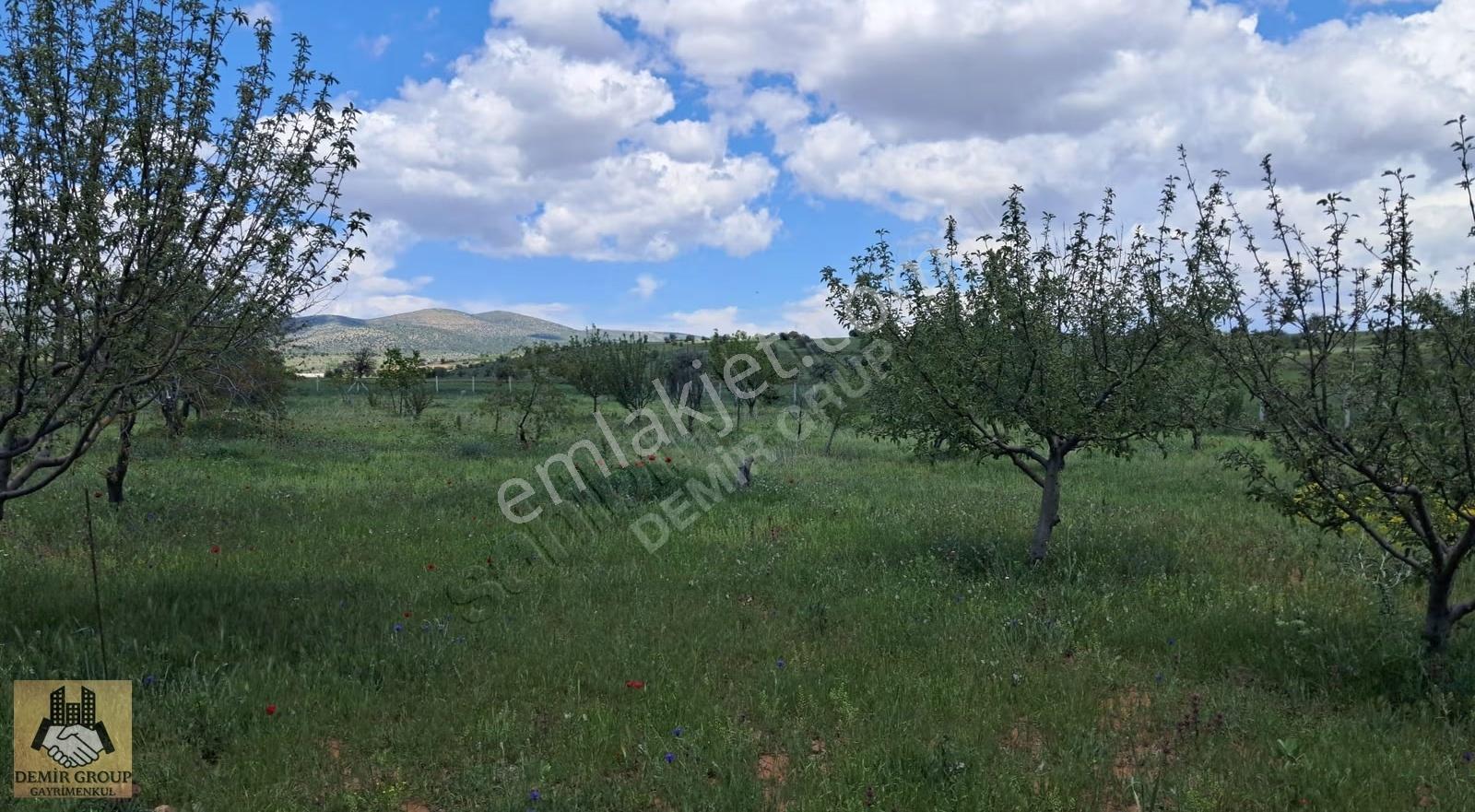Kızılören'de Müstakil Tapulu, Tarla Parasına 1+1 Evi Olan Bahçe - Görsel 8