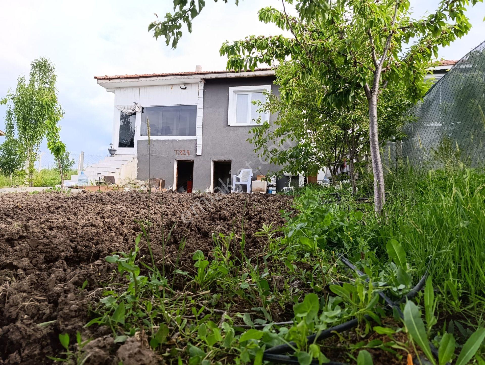 Tatlar Da Elektik Sulu Kurulu Düzen Cezası Ödenmiş Eşyalı Bahçe - Görsel 3