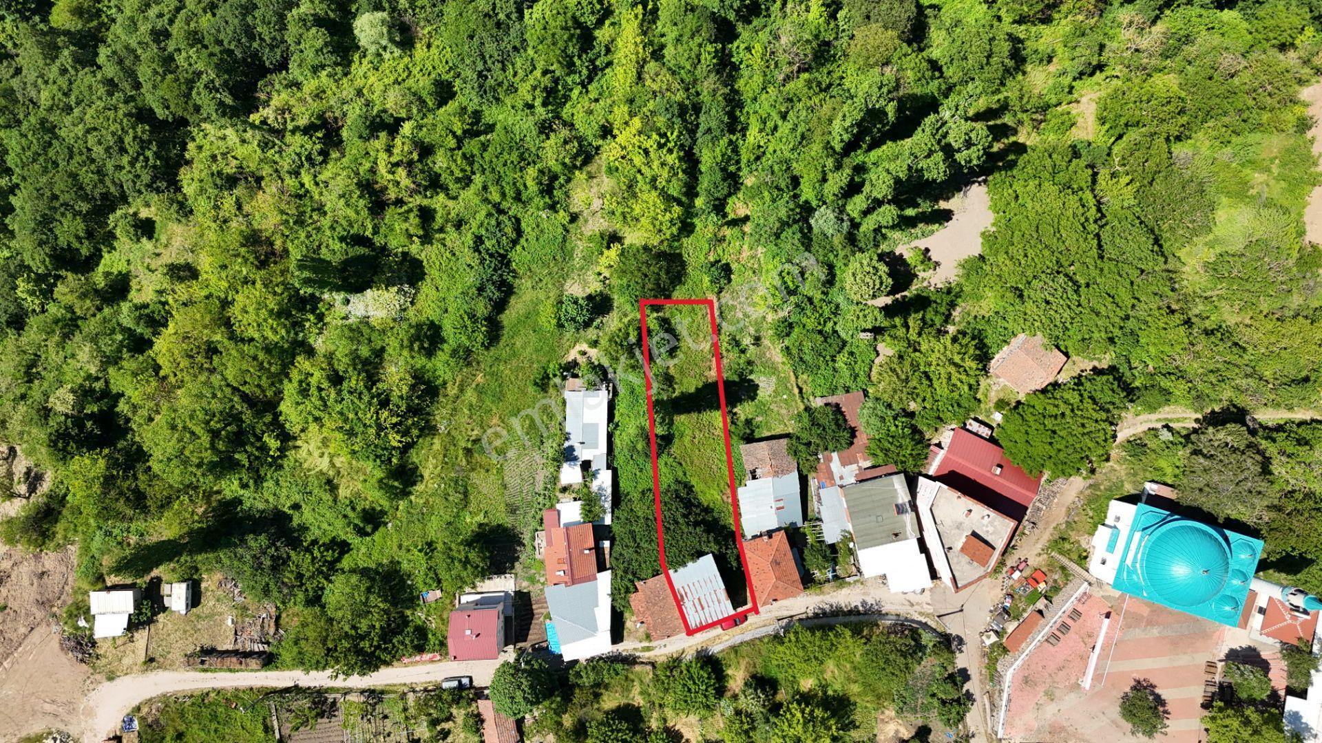 C21 Cius; Fevziye Köyü'nde Köy Yerleşim Alanında Satılık Arsa - Görsel 2