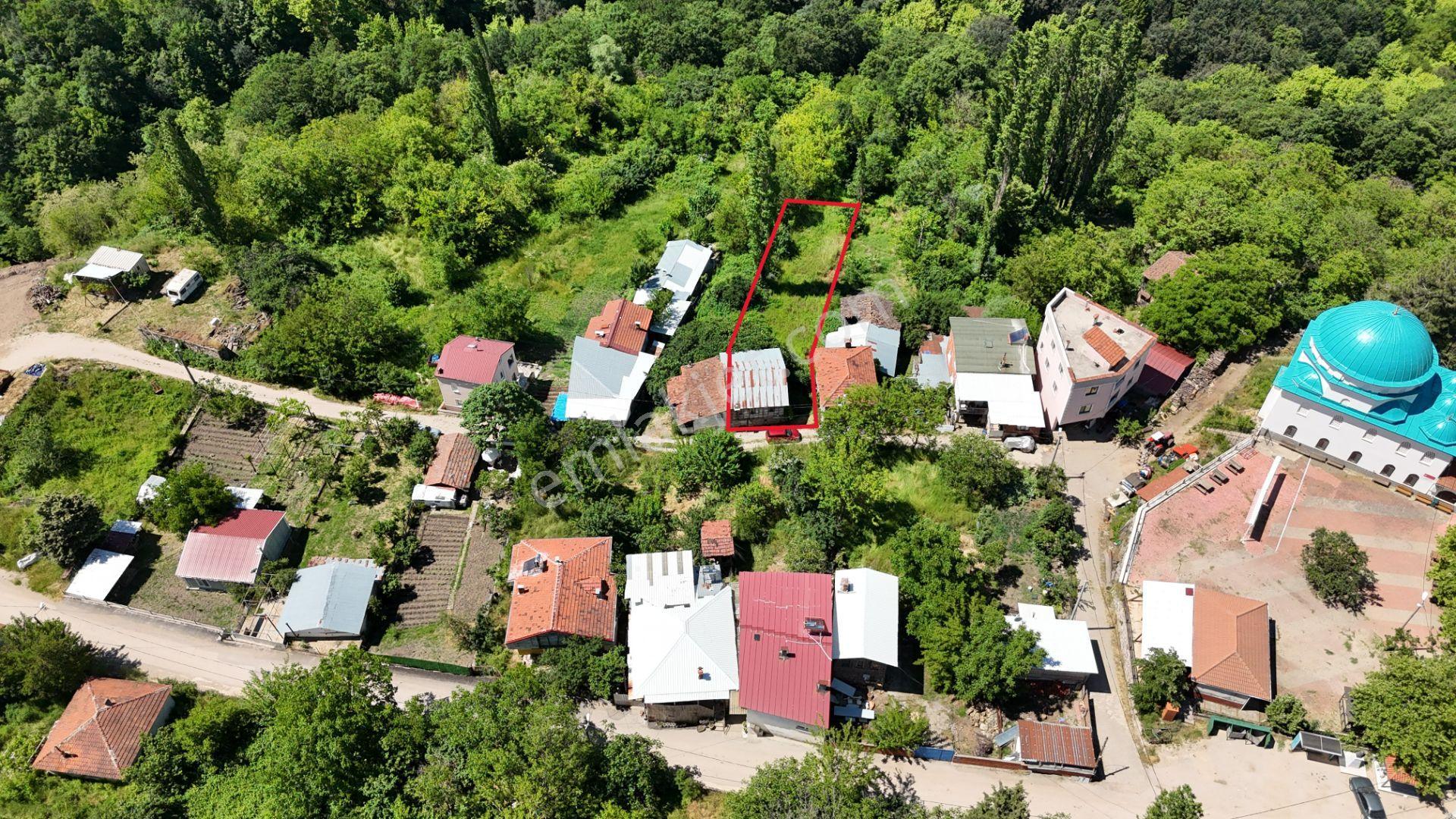 C21 Cius; Fevziye Köyü'nde Köy Yerleşim Alanında Satılık Arsa - Görsel 4