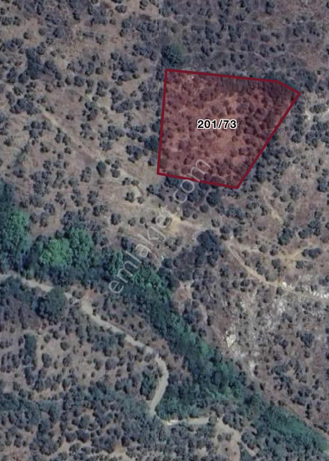 Doğa Dostu'ndan Fiyat Düştü! Bayındır Yakapınar Tek Tapu 3612 M2 - Görsel 8
