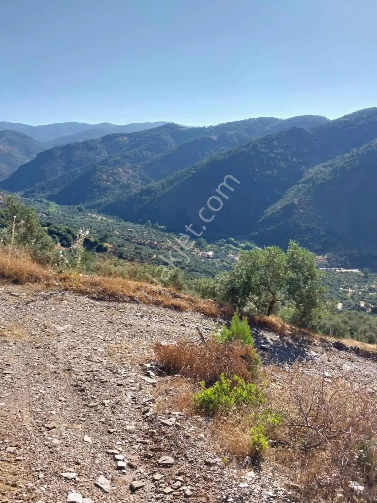 Doğa Dostu'ndan Fiyat Düştü! Bayındır Yakapınar Tek Tapu 3612 M2 - Görsel 13