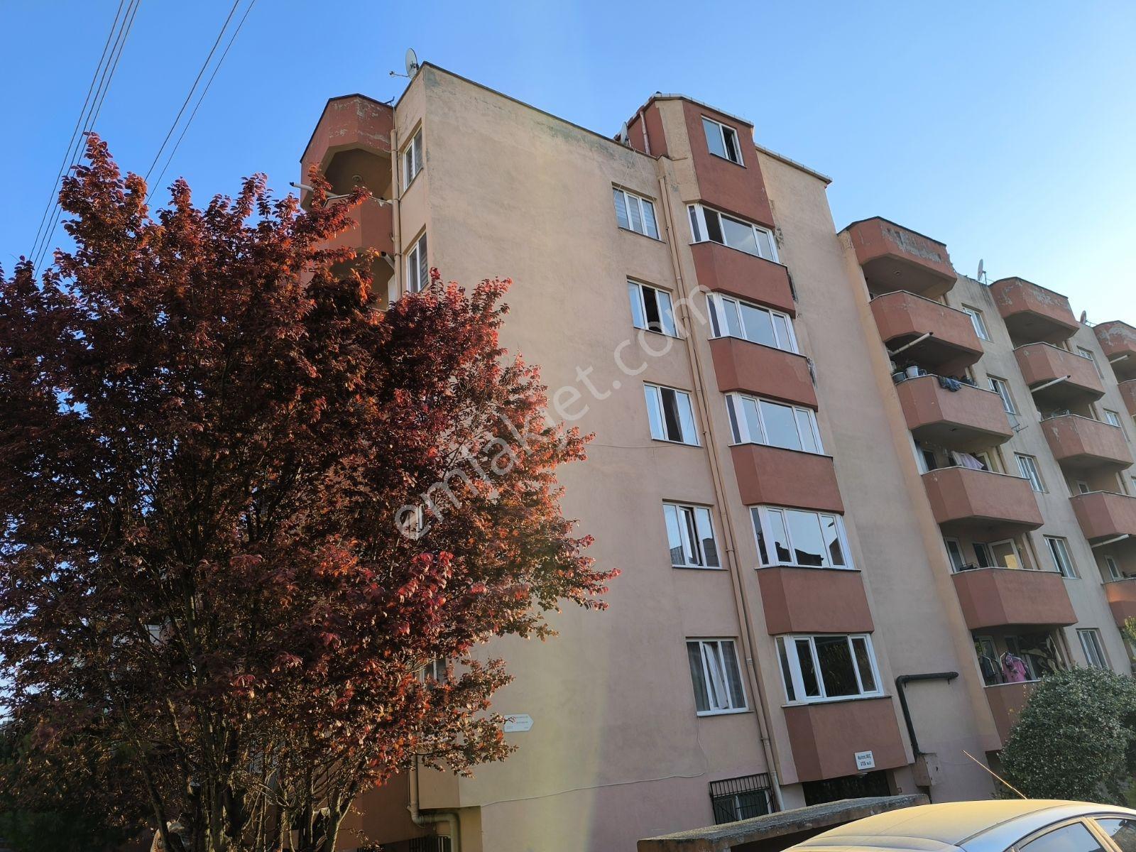 Görükle Merkez'de Kiralık 2+1 Daire - Görsel 2