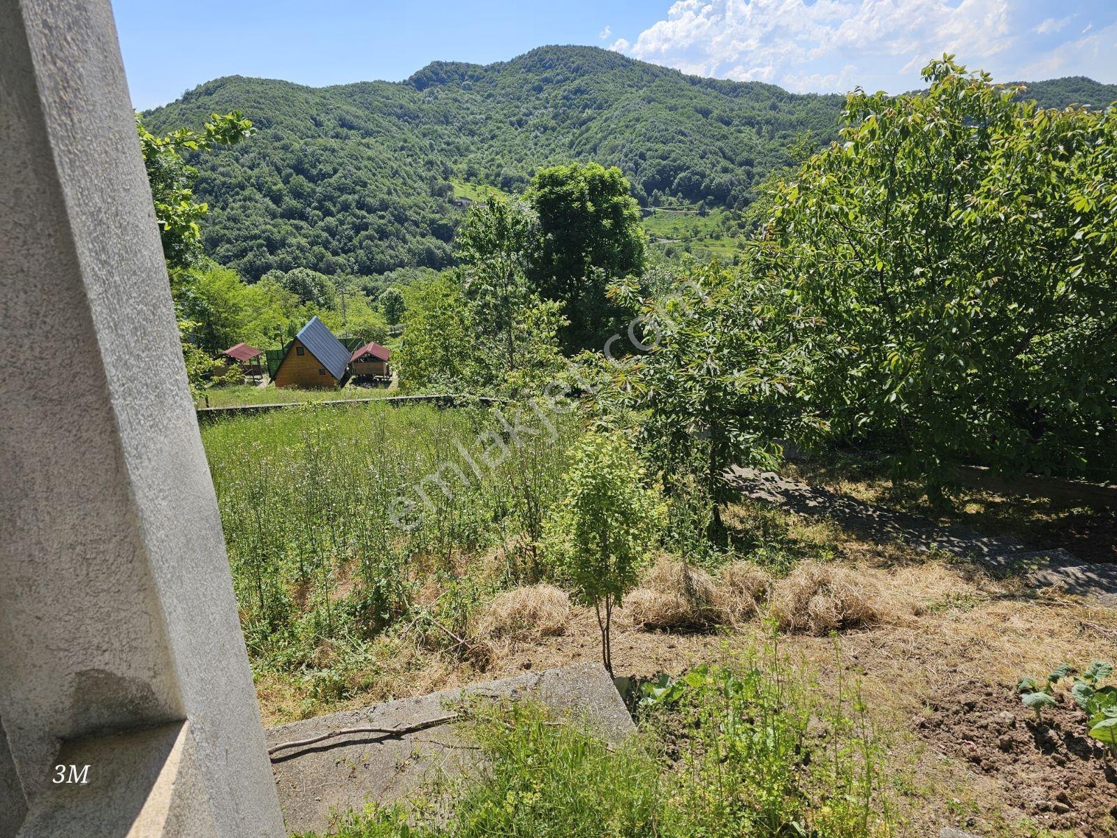Geyvede Doğanın Kalbınde Müstakil Yaşam 2+1 Ev 900m² Arsa - Görsel 14
