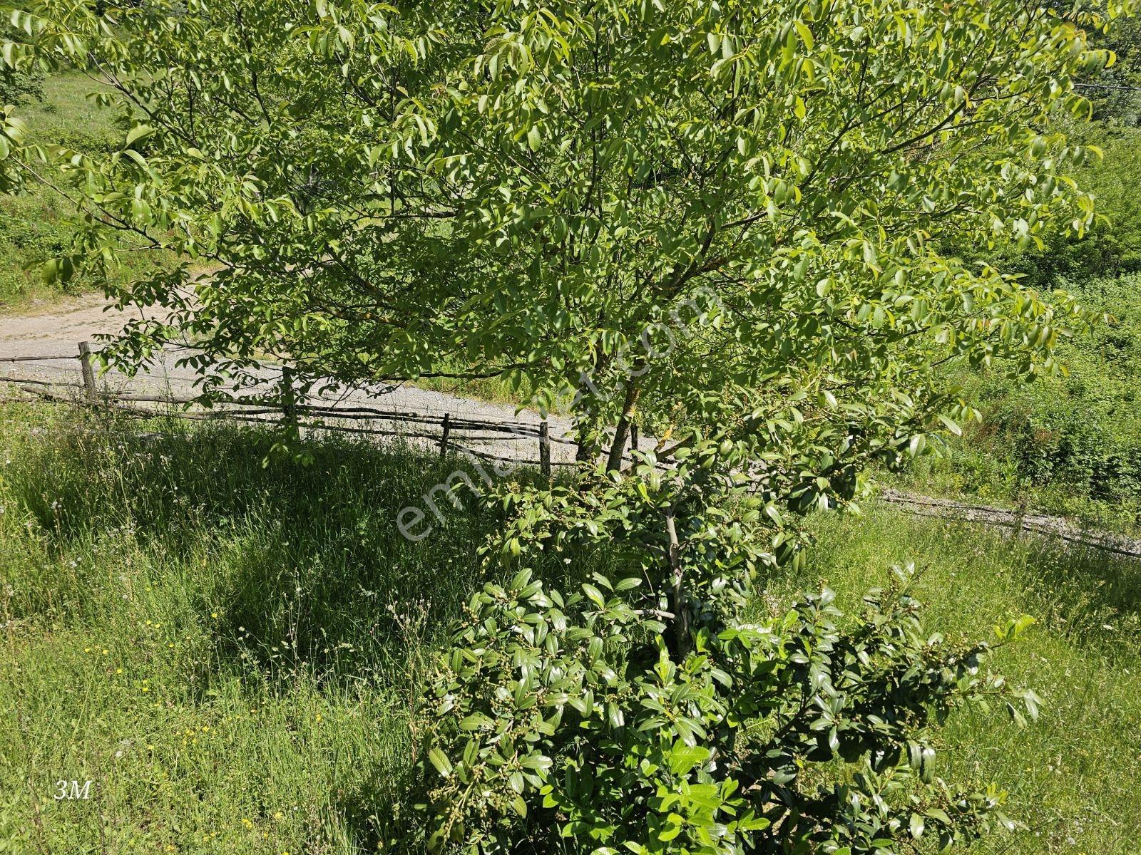 Geyvede Doğanın Kalbınde Müstakil Yaşam 2+1 Ev 900m² Arsa - Görsel 9