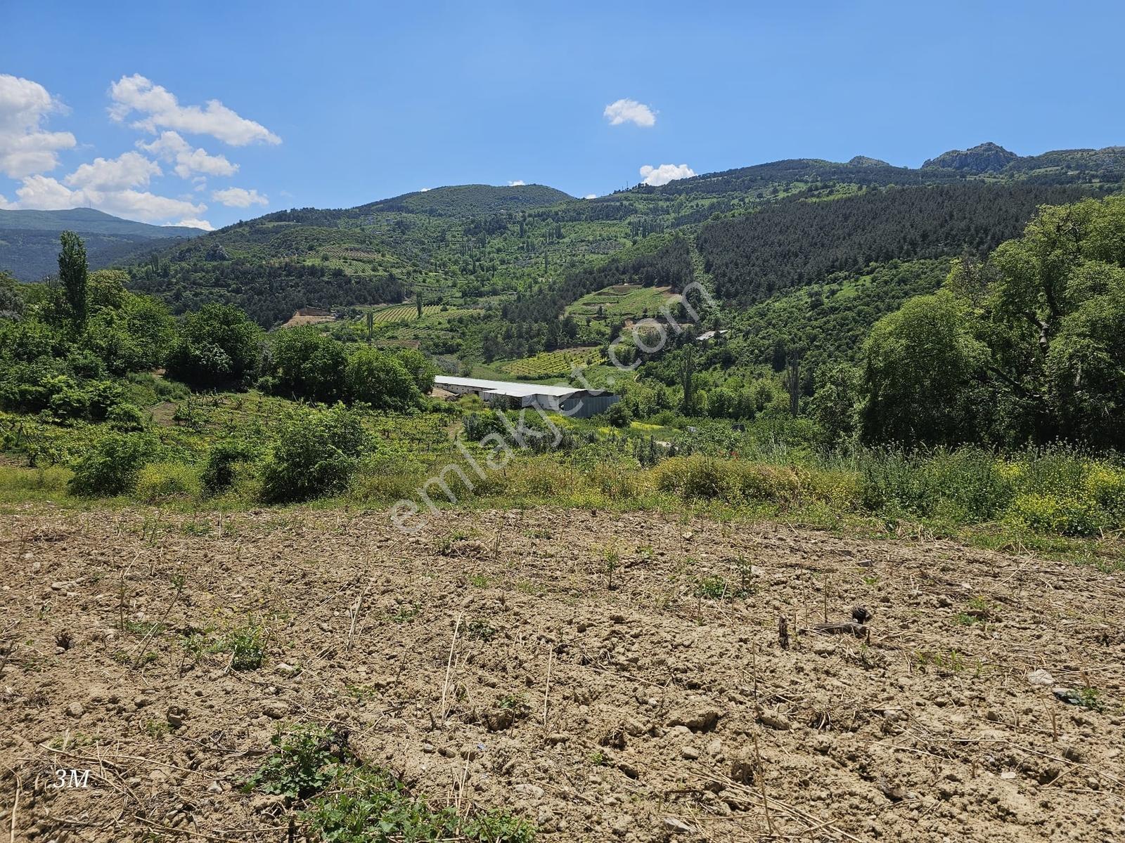 Sakarya Umurbey 526m2 Planlı Projeli Direkt Masrafsız Uygun Arsa - Görsel 8