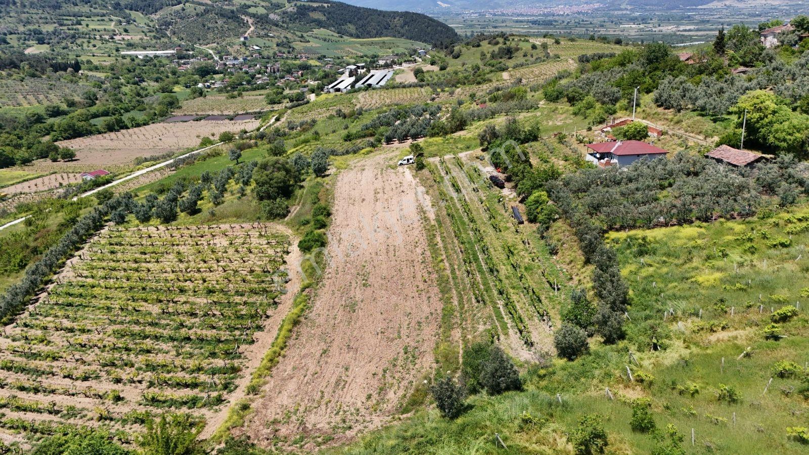 Sakarya Umurbey 526m2 Planlı Projeli Direkt Masrafsız Uygun Arsa - Görsel 34