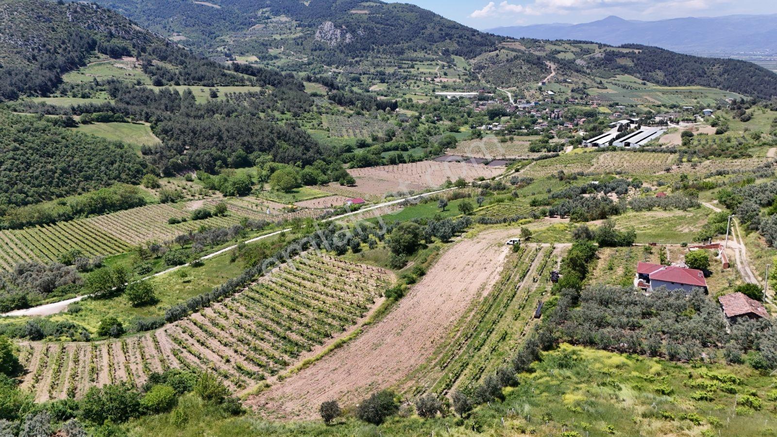 Sakarya Umurbey 526m2 Planlı Projeli Direkt Masrafsız Uygun Arsa - Görsel 31