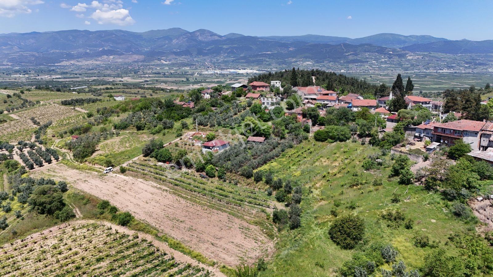 Sakarya Umurbey 526m2 Planlı Projeli Direkt Masrafsız Uygun Arsa - Görsel 15