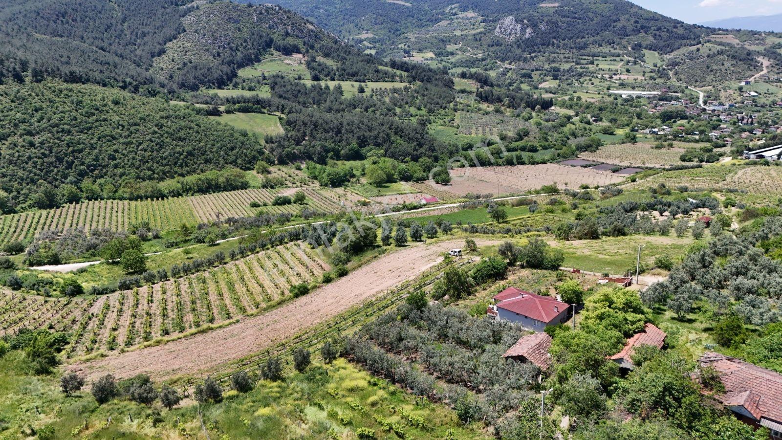 Sakarya Umurbey 526m2 Planlı Projeli Direkt Masrafsız Uygun Arsa - Görsel 16