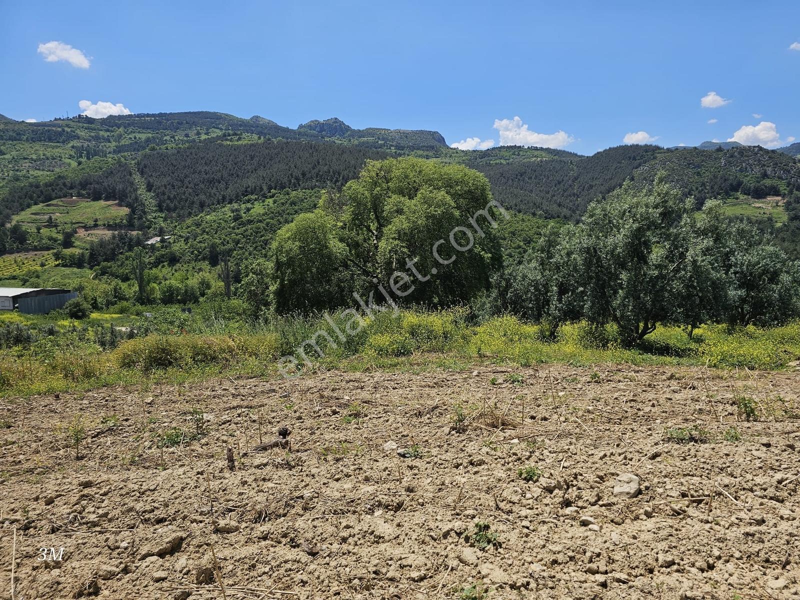 Sakarya Umurbey 526m2 Planlı Projeli Direkt Masrafsız Uygun Arsa - Görsel 17