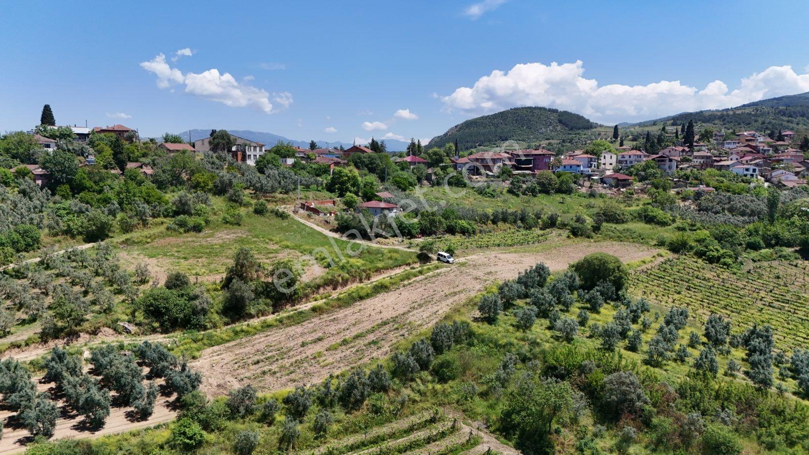 Sakarya Umurbey 526m2 Planlı Projeli Direkt Masrafsız Uygun Arsa - Görsel 27