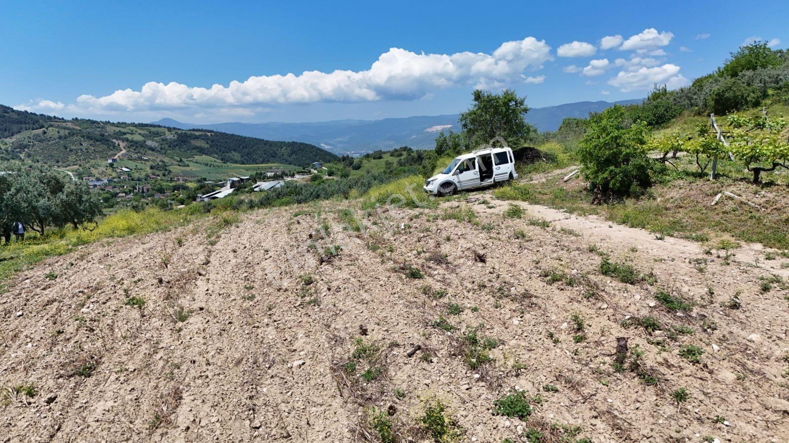 Sakarya Umurbey 526m2 Planlı Projeli Direkt Masrafsız Uygun Arsa - Görsel 14