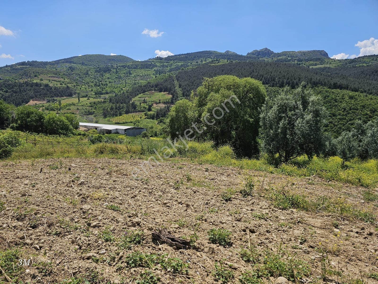 Sakarya Umurbey 526m2 Planlı Projeli Direkt Masrafsız Uygun Arsa - Görsel 5