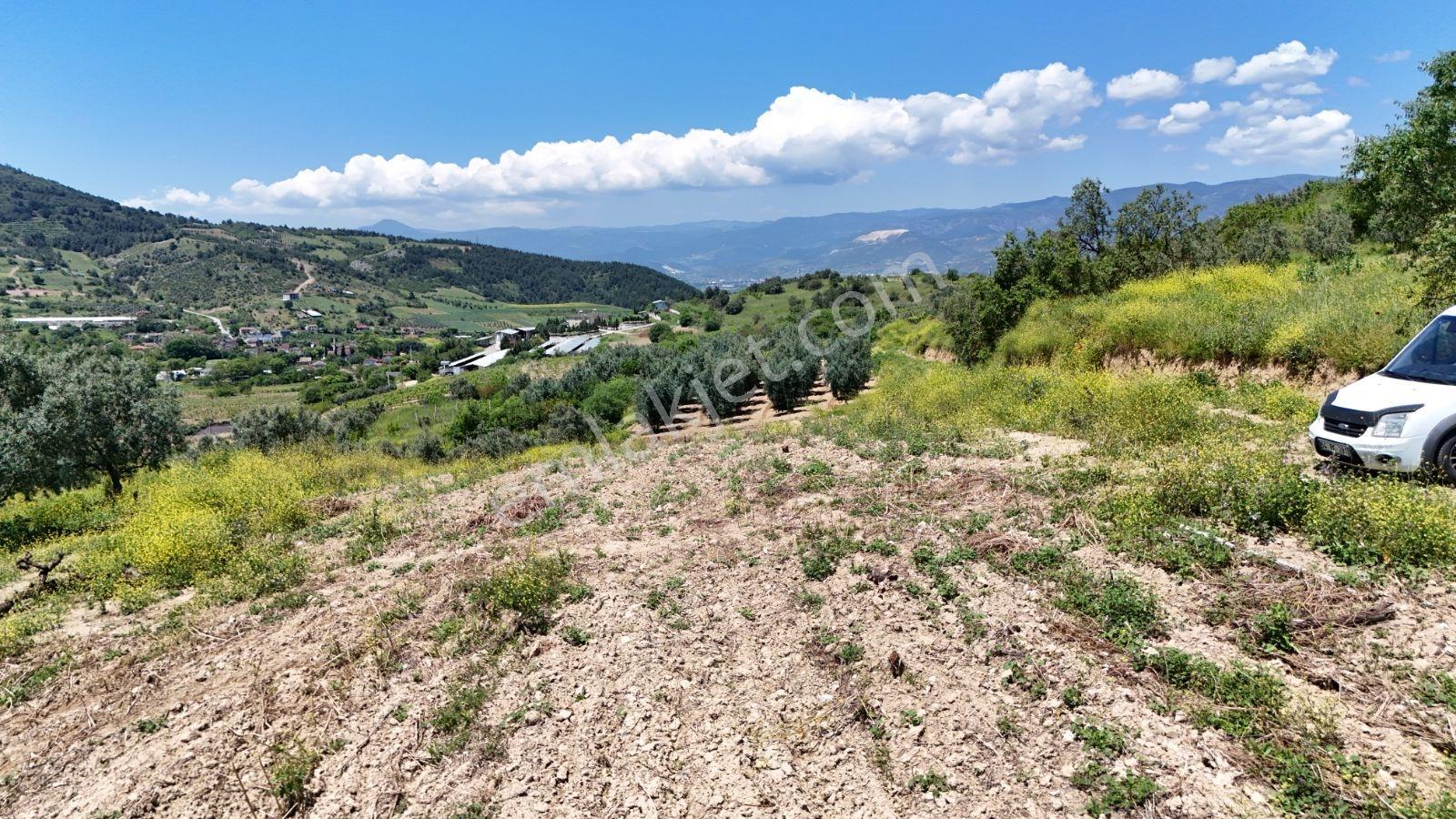 Sakarya Umurbey 526m2 Planlı Projeli Direkt Masrafsız Uygun Arsa - Görsel 13