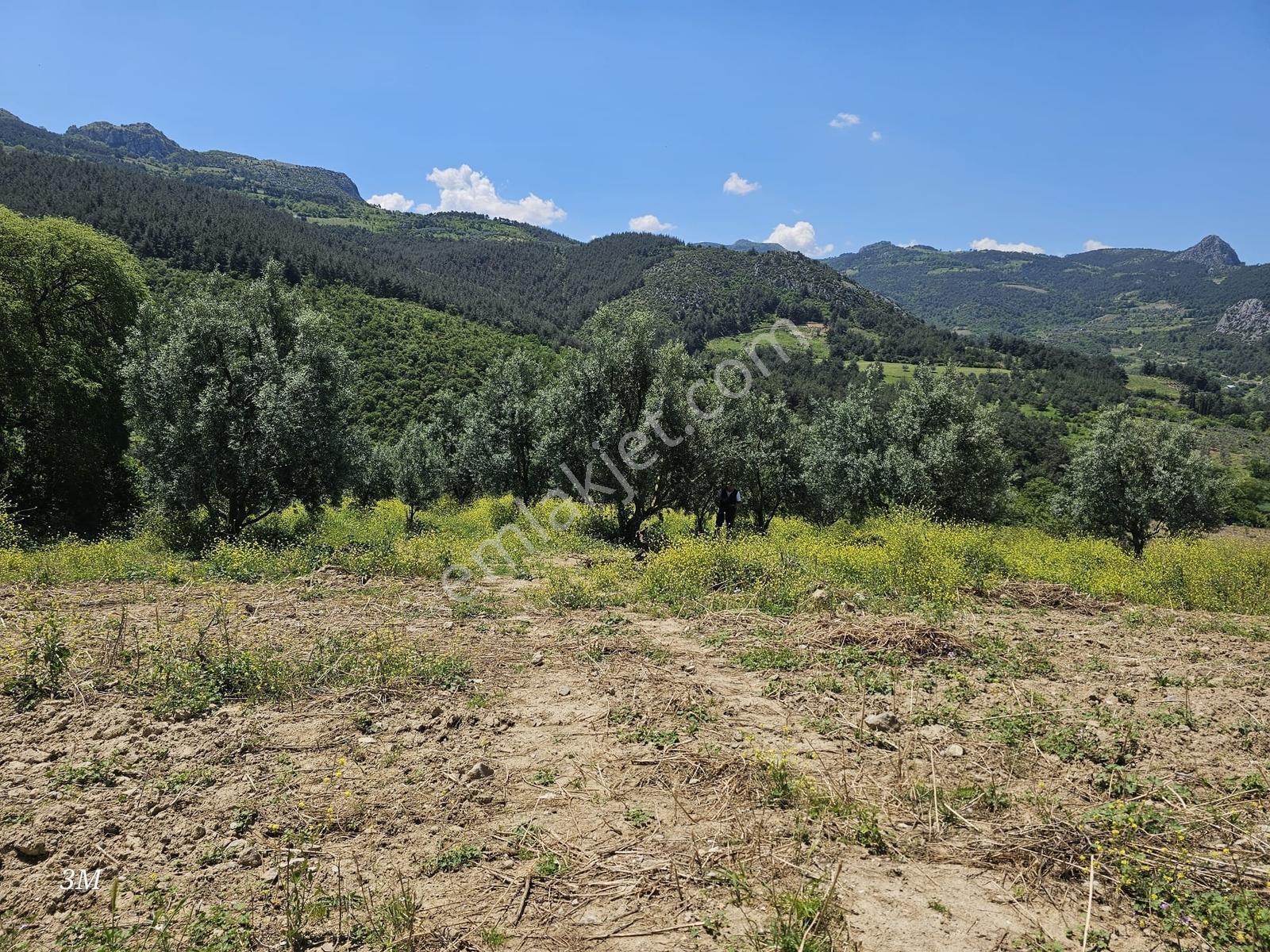 Sakarya Umurbey 526m2 Planlı Projeli Direkt Masrafsız Uygun Arsa - Görsel 21