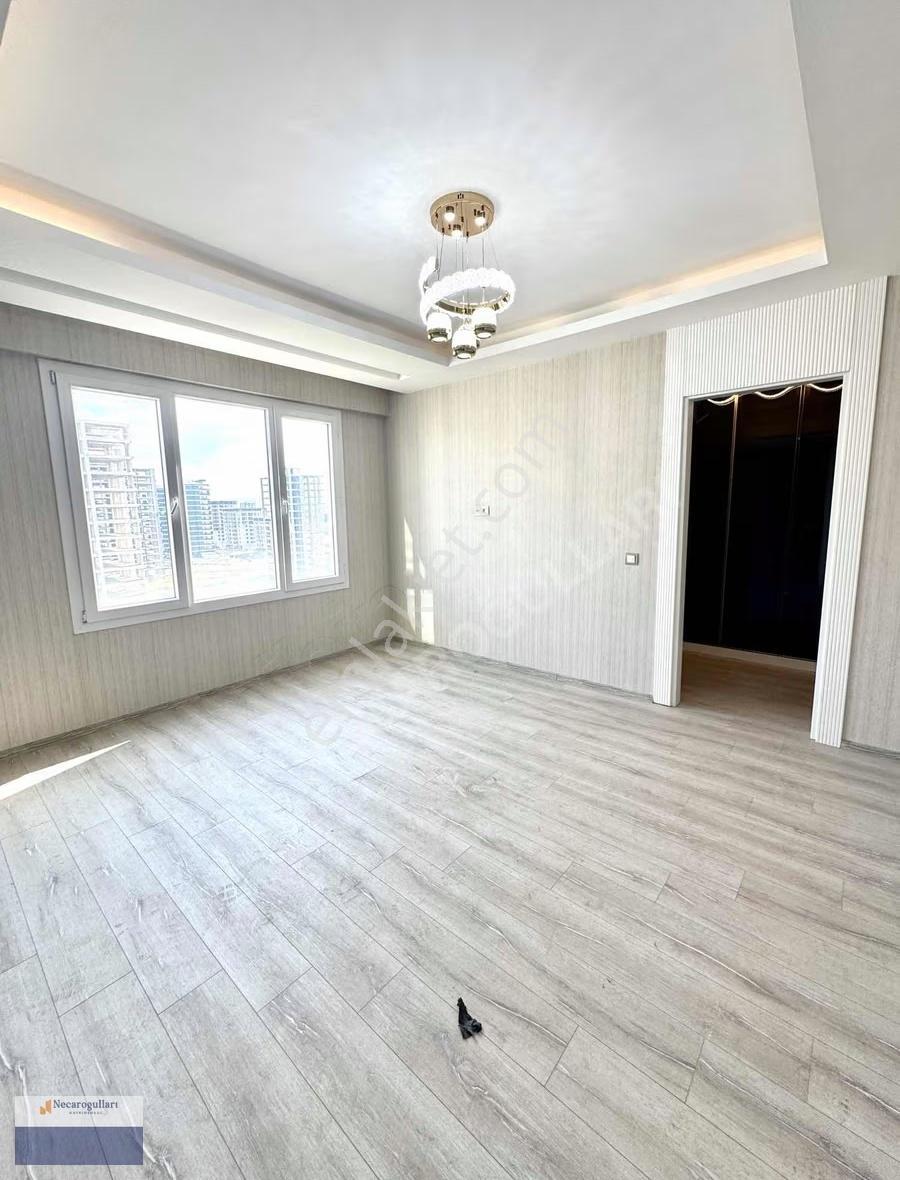 Necaroğullarından Pia Prestıj 3,5+1 Açıklamayı Okuyun - Görsel 16