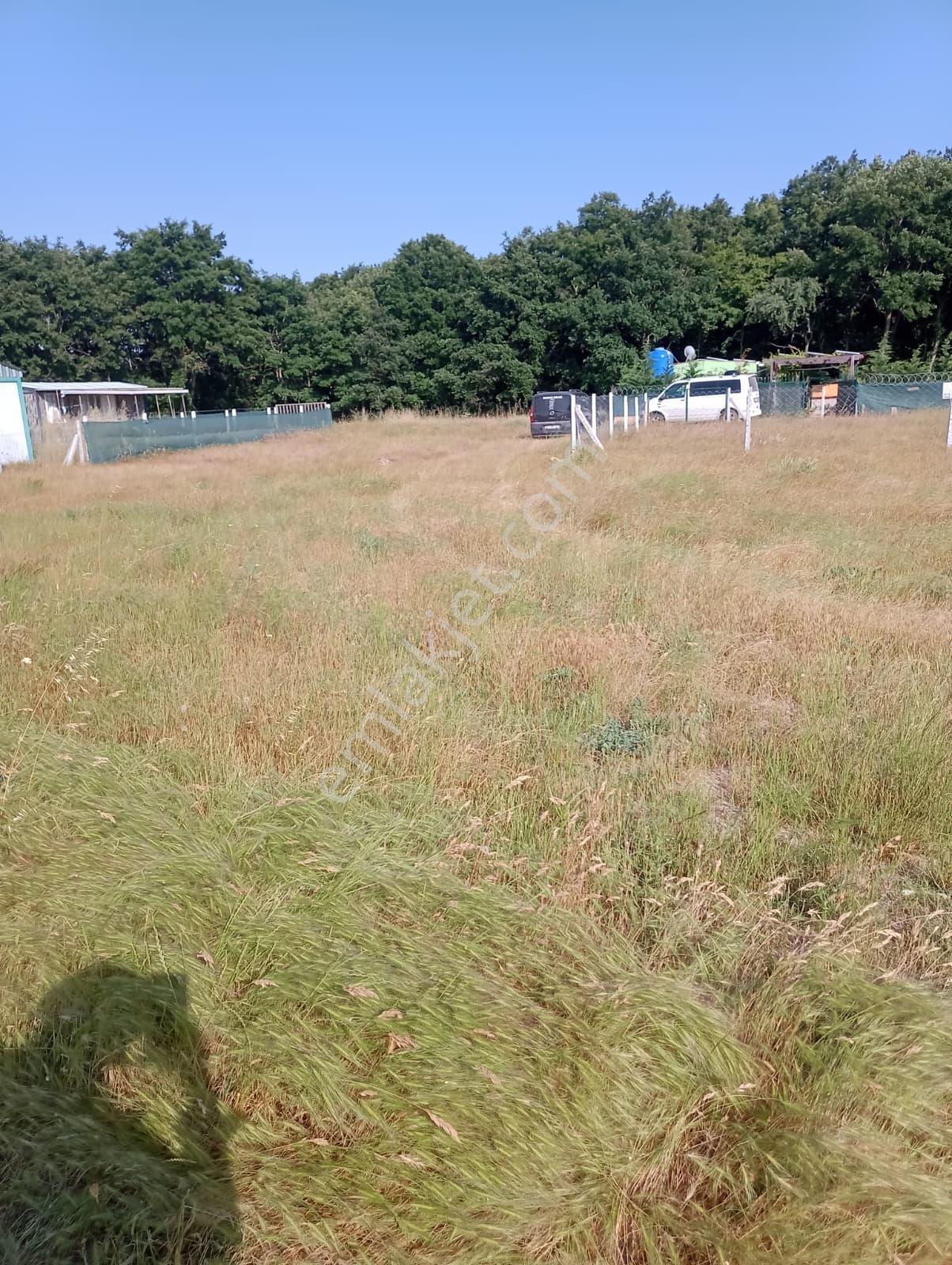 Silivri'de 300 M² Çaplı Yolu Açık Konteynara Uygun Fırsat Arsa ! - Görsel 6