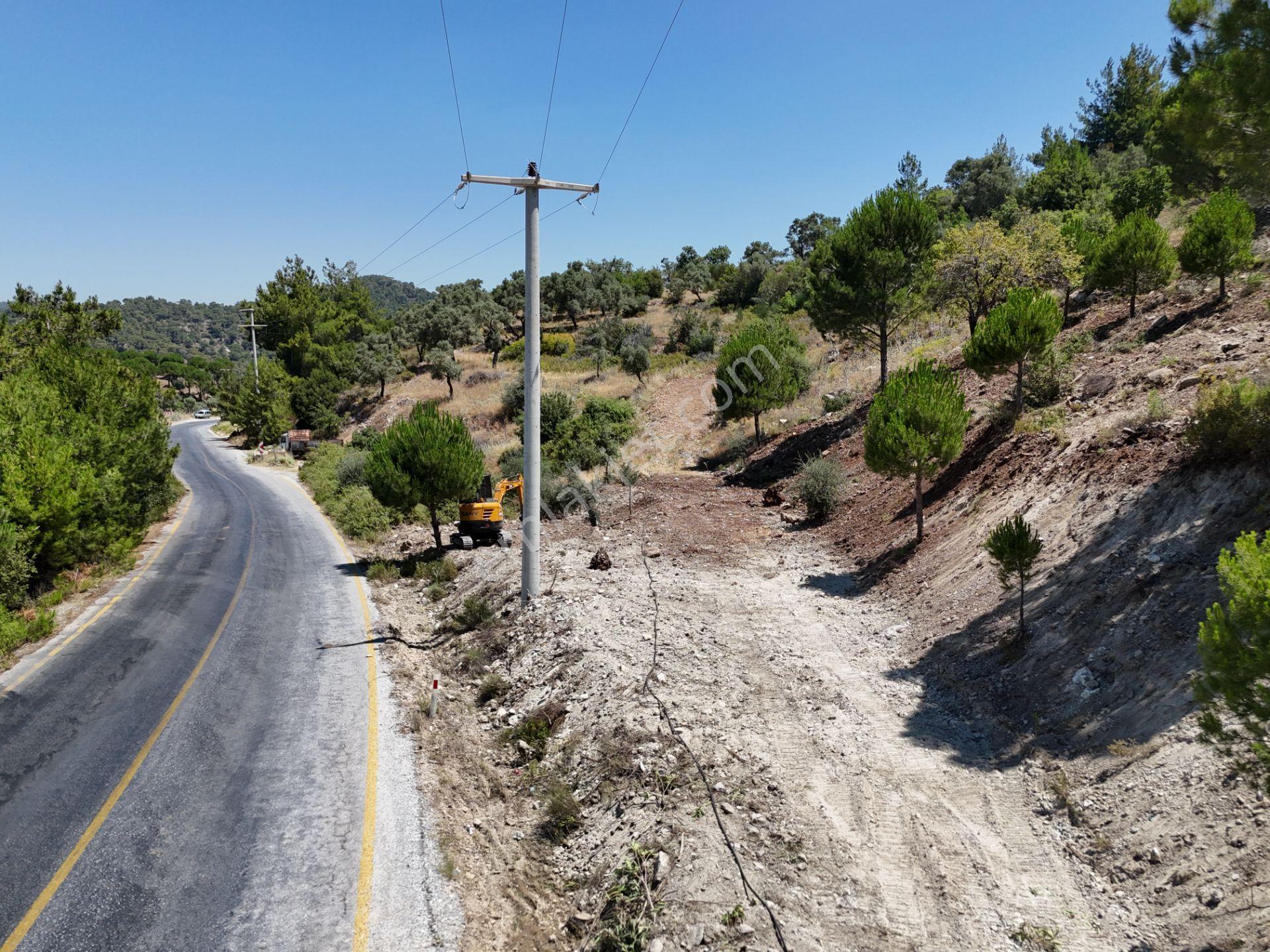 Milas Kayabaşı'nda Asfalt Yola Sıfır 4477m² Müstakil Zeytinlik - Görsel 25