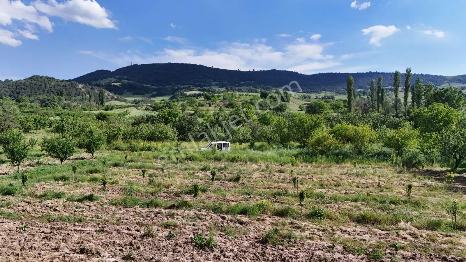 Sakarya Geyve 651 M2 Kiraz Bahçesi Köye Yürüme Mesafesi Fırsat - Görsel 7