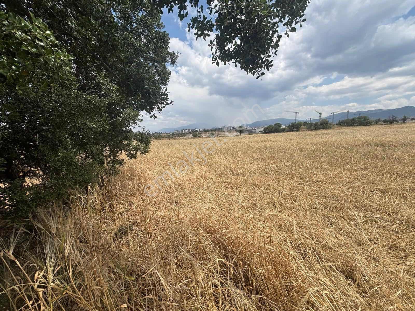 Yatırımlüx'ten Saruhanda Şehir Hast. Karşısı 6070 M2 Köşe Arsa - Görsel 4