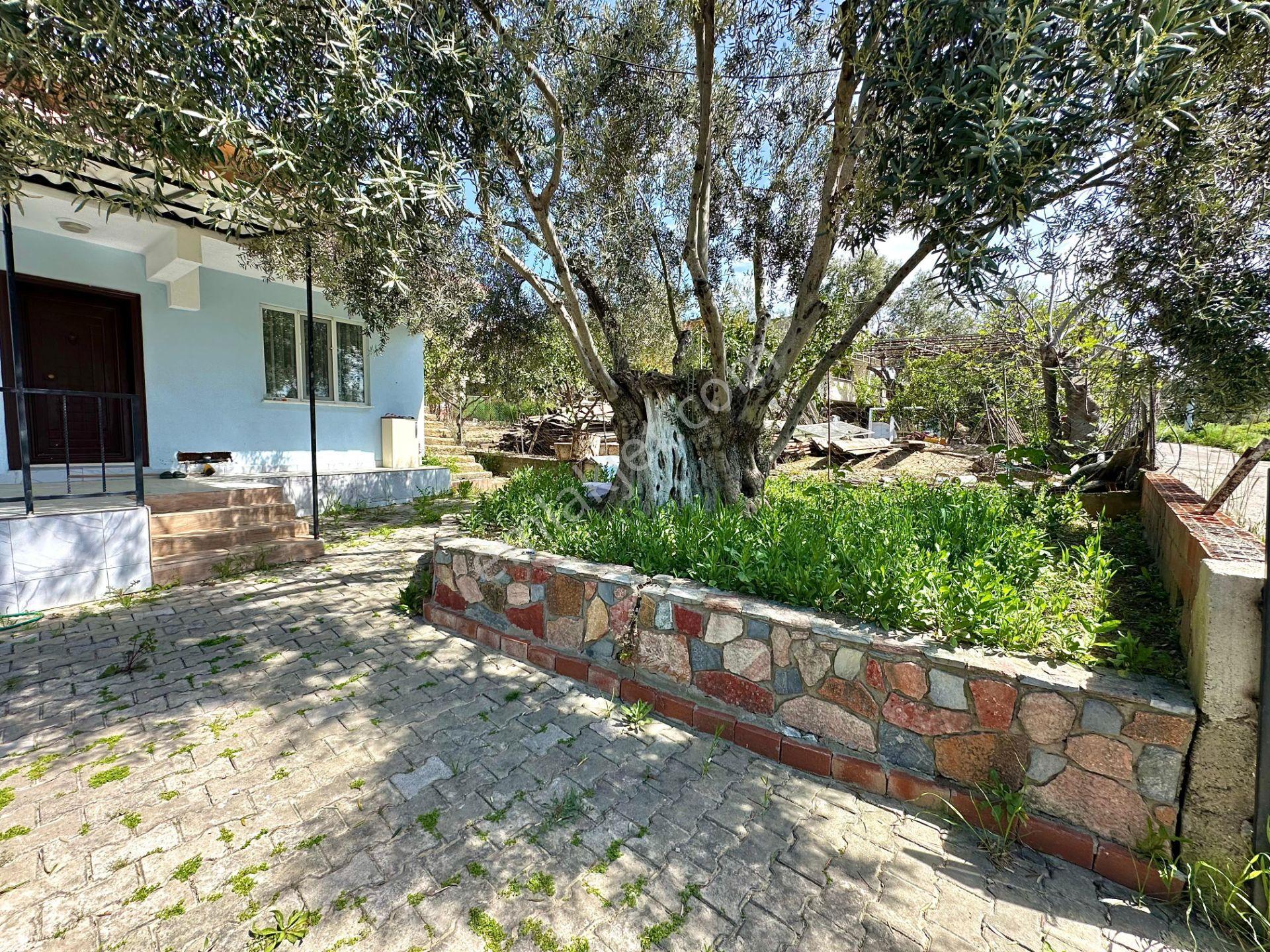 280m² Arsa İçinde Müstakil Ev! 2 Kat İmarlı Bahçeli Kaçmaz! - Görsel 7