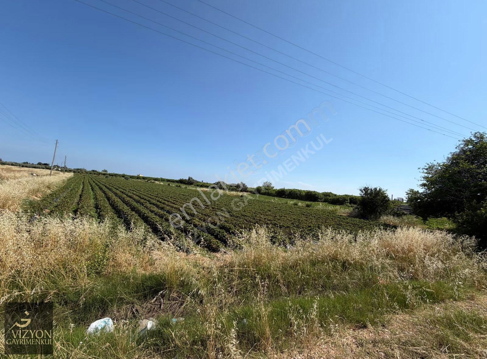 Silifke'de Yola Sıfır Satılık Tarla - 5125 M² - Görsel 5