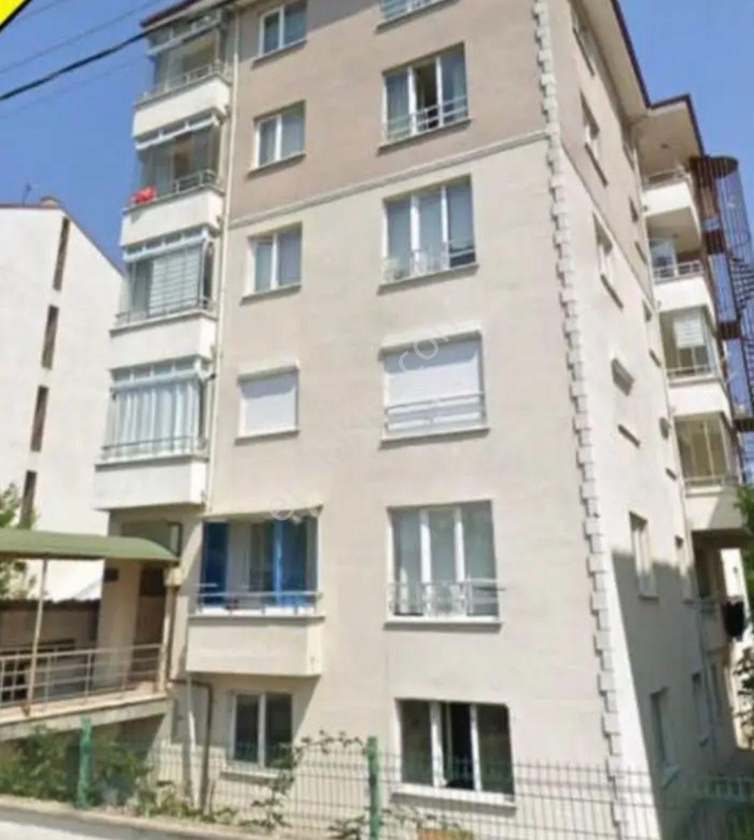 Atatürk Orman Parkı Yanı 3