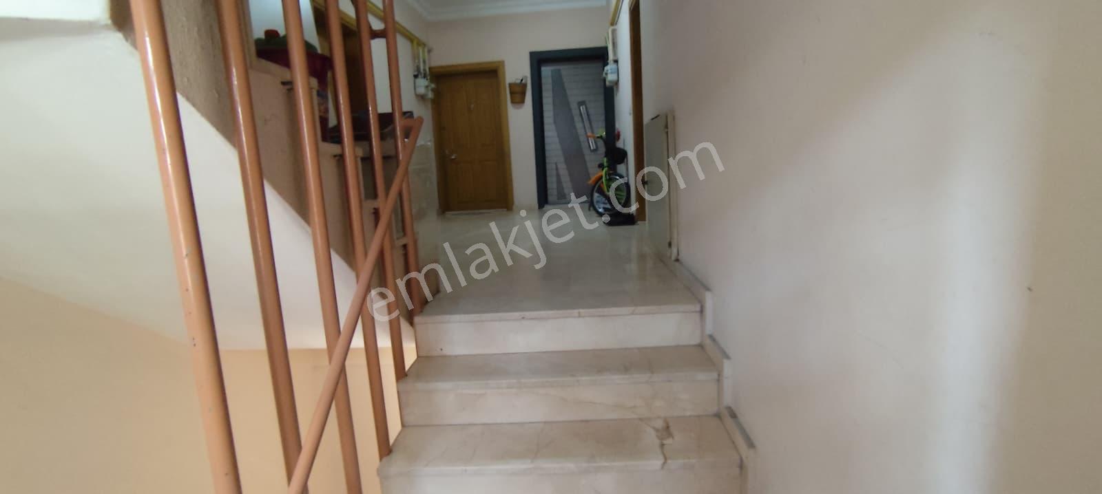 Eşyalı Kiralık 2+1 Daire Palmiye Caddesinin Yanıbaşında - Görsel 19