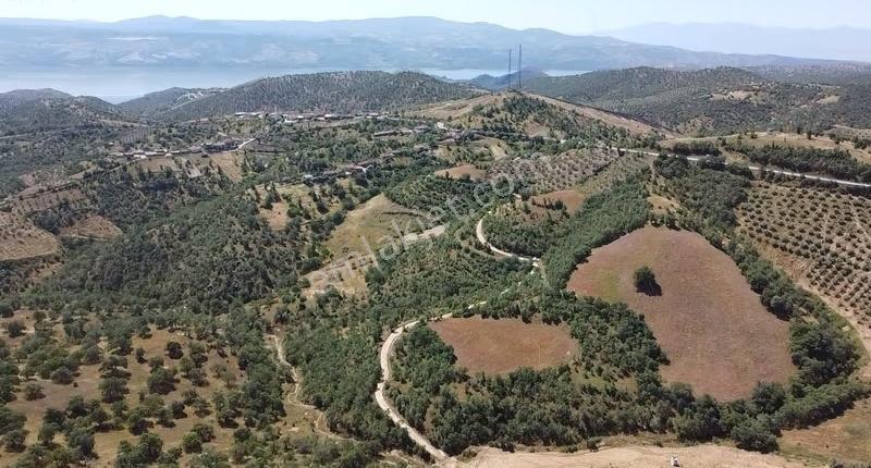 Köprübaşı/cıcıklı Mahallesinde 16.374 M2 Satılık Tarla - Görsel 7