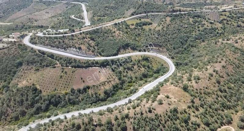 Köprübaşı/cıcıklı Mahallesinde 16.374 M2 Satılık Tarla