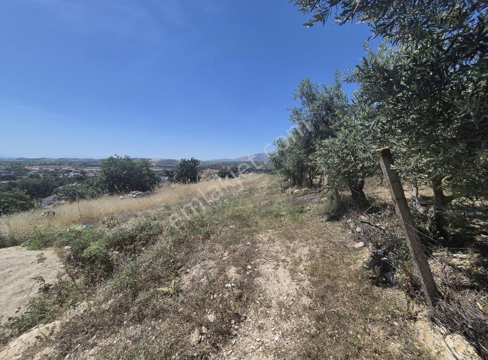 Adala 371 M2 Satılık Arsa