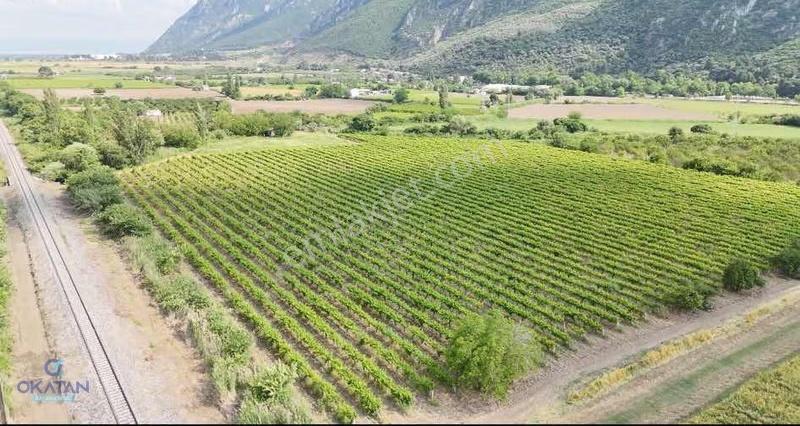 Yukarı Çobanisa Da Satılık Kullanışlı Arazi - Görsel 3
