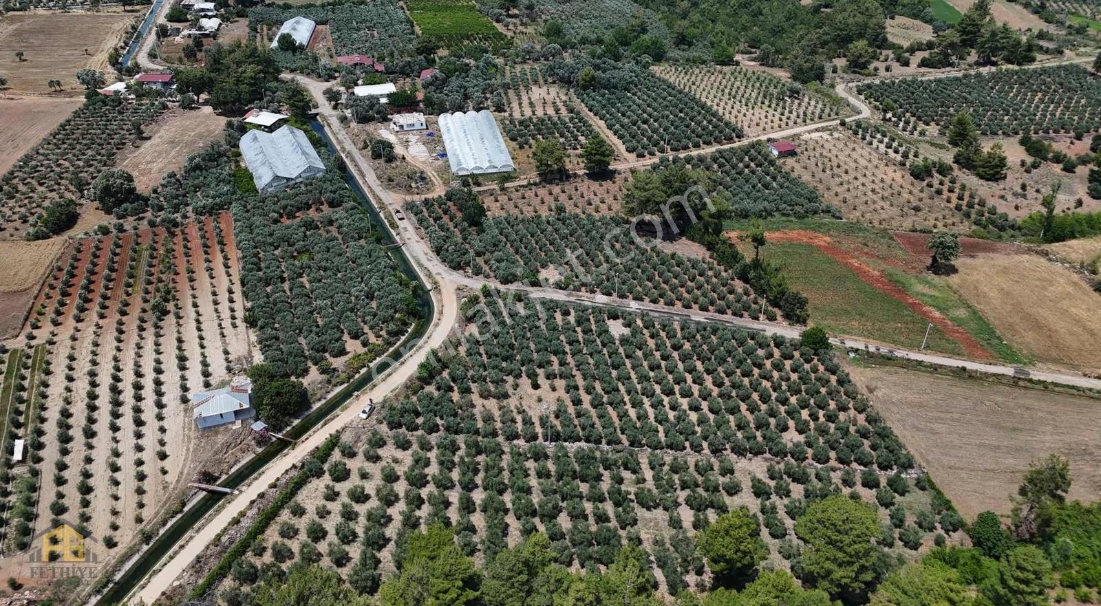 Seydikemer Kabaağaç Mahallesinde Satılık 4182 M2 Zeytinlik - Görsel 4