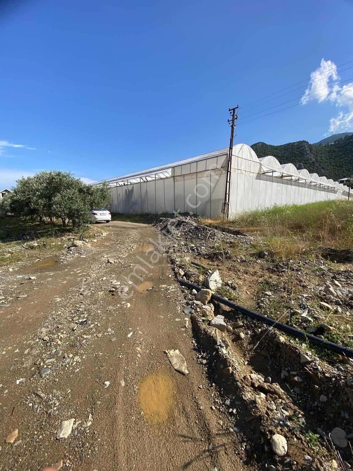 Anamur Orhana(güleş) Mah Satılık Tarla - Görsel 7
