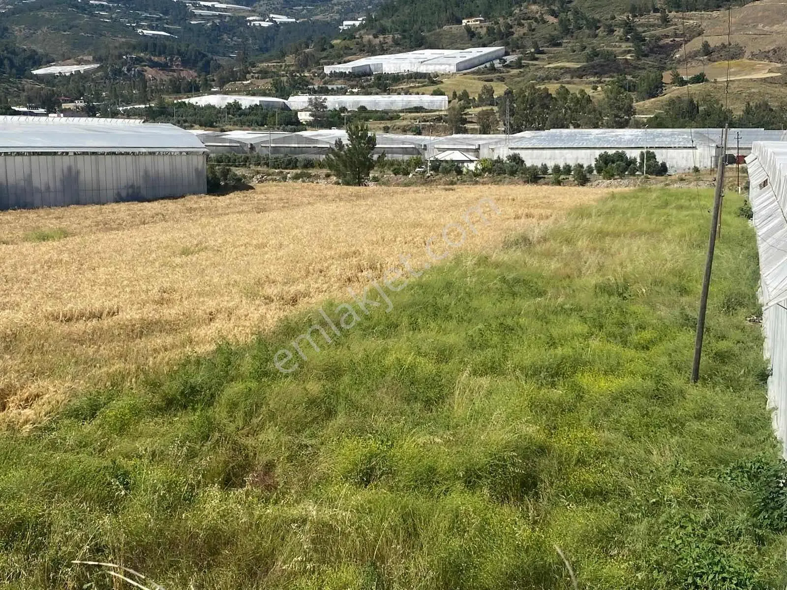 Anamur Orhana(güleş) Mah Satılık Tarla