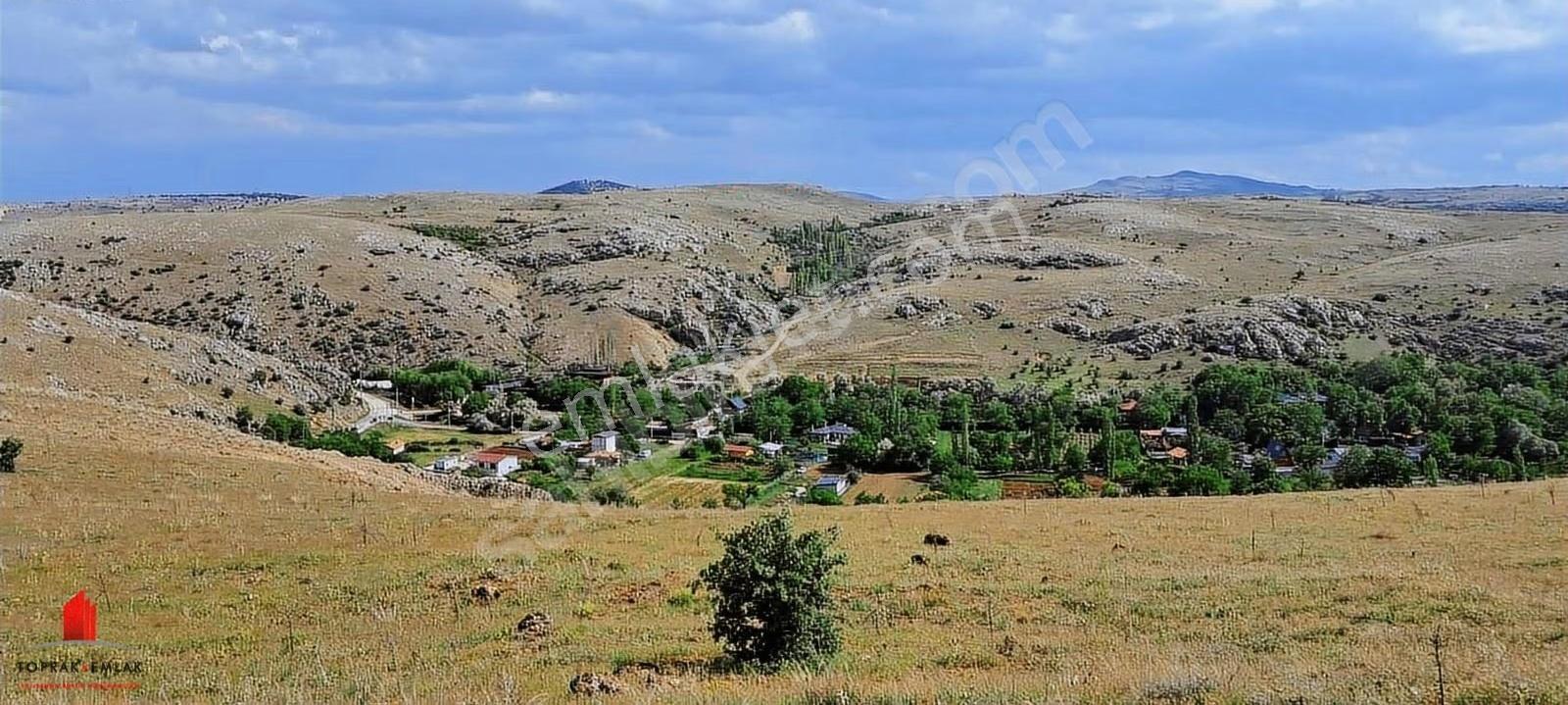 Seydişehir Yol Cephe Çayırbağın'da Müstakil 3841m2 Satılık Tarla - Görsel 24