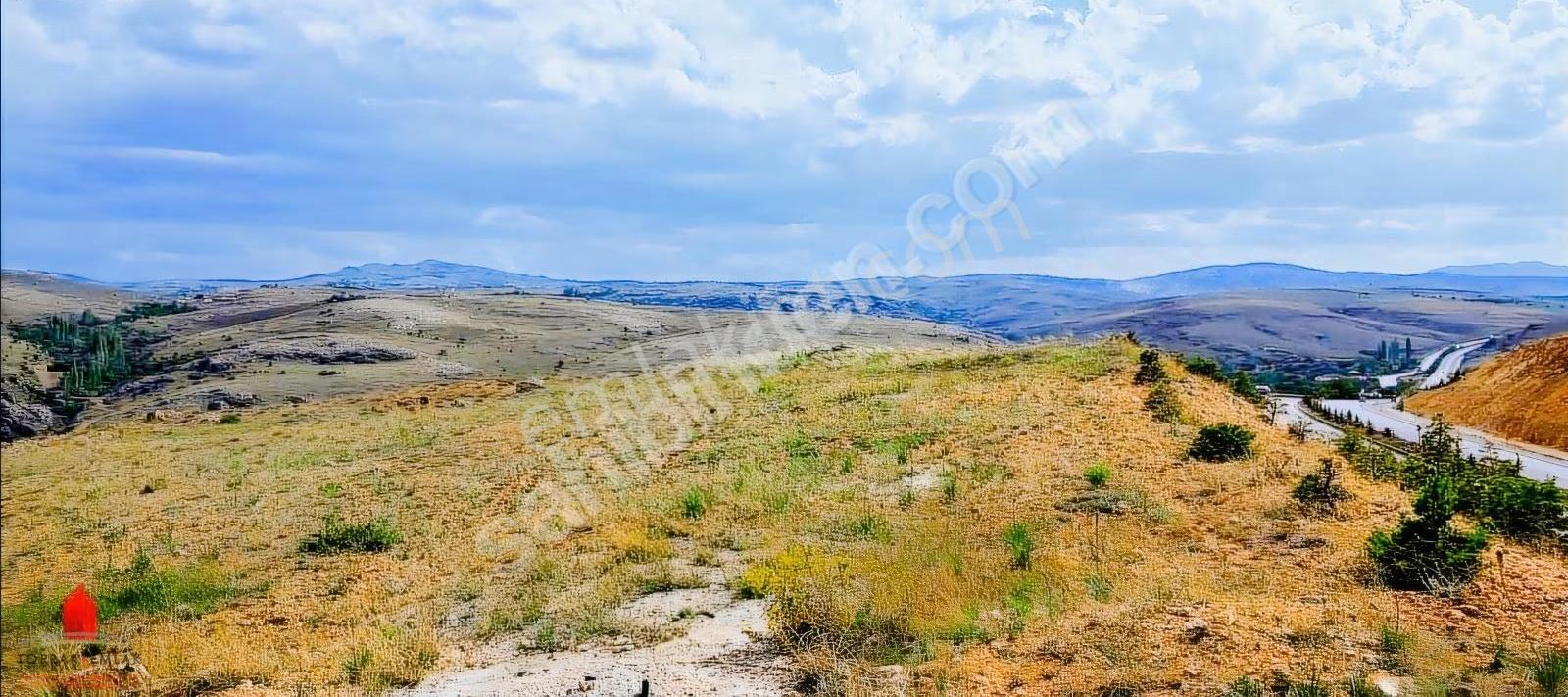 Seydişehir Yol Cephe Çayırbağın'da Müstakil 3841m2 Satılık Tarla - Görsel 12