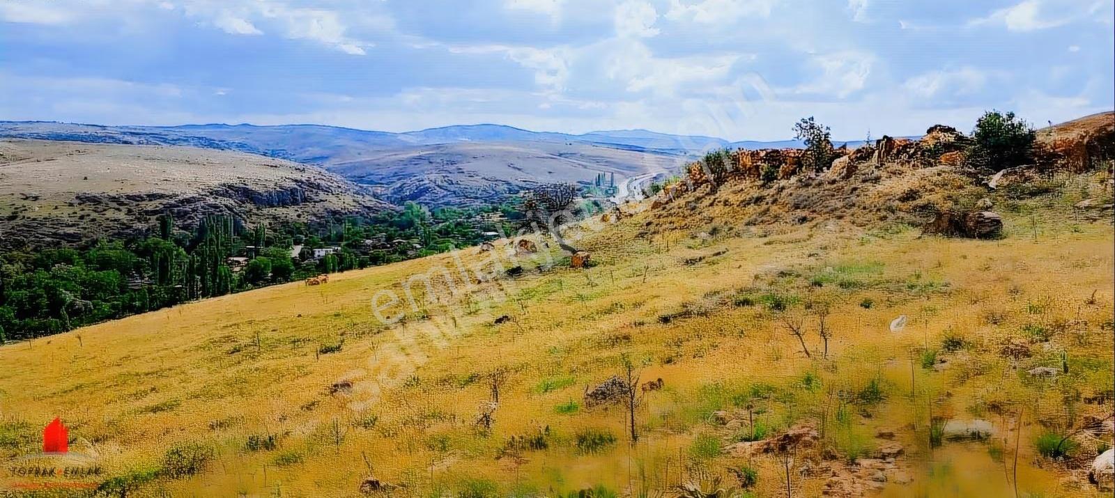 Seydişehir Yol Cephe Çayırbağın'da Müstakil 3841m2 Satılık Tarla - Görsel 14