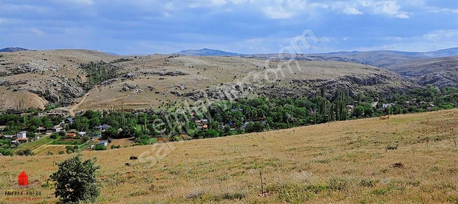 Seydişehir Yol Cephe Çayırbağın'da Müstakil 3841m2 Satılık Tarla - Görsel 8