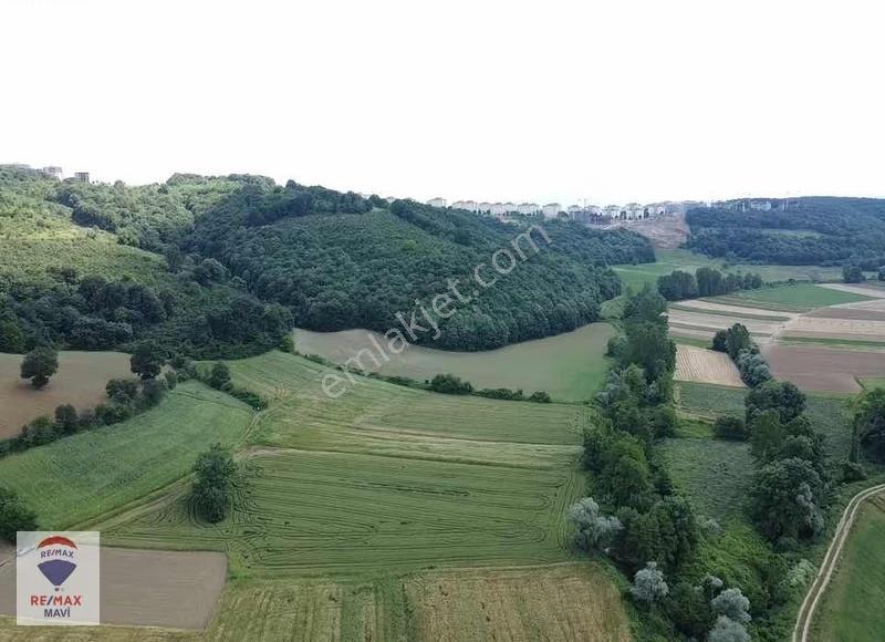 Remax Şaban Karakaş Korucukta 8526m2 İmara Yakın Yatırım Fırsatı - Görsel 2