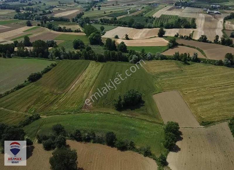Remax Şaban Karakaş Korucuk 11588m2 İmara Yakın Yatırım Fırsatı - Görsel 24