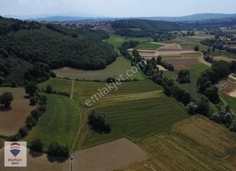 Remax Şaban Karakaş Korucuk 11588m2 İmara Yakın Yatırım Fırsatı - Görsel 13