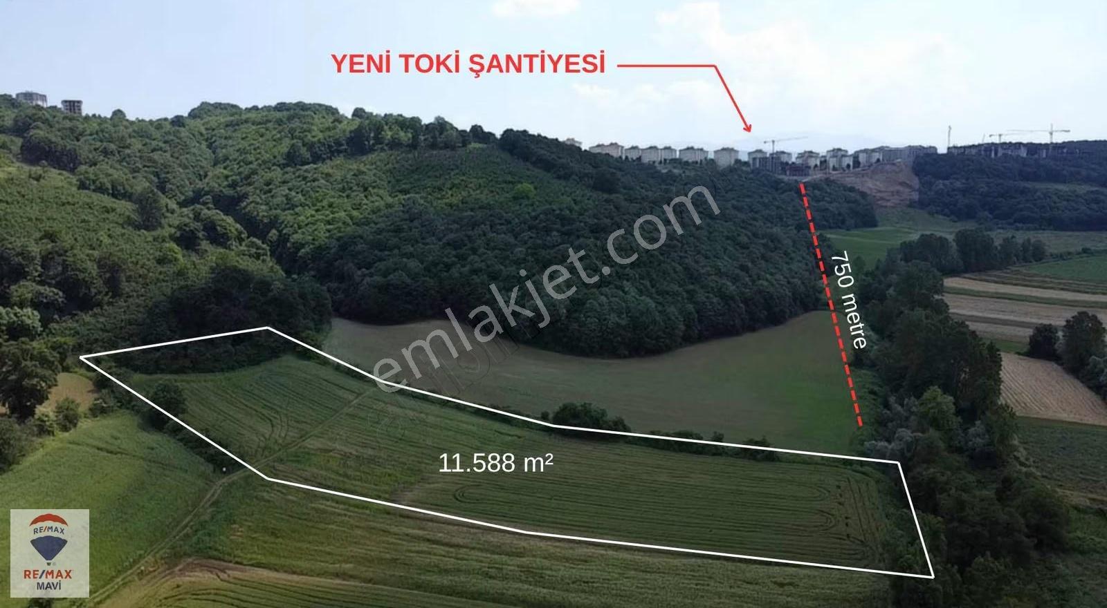 Remax Şaban Karakaş Korucuk 11588m2 İmara Yakın Yatırım Fırsatı - Görsel 19