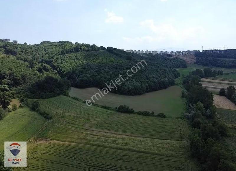 Remax Şaban Karakaş Korucuk 11588m2 İmara Yakın Yatırım Fırsatı - Görsel 15