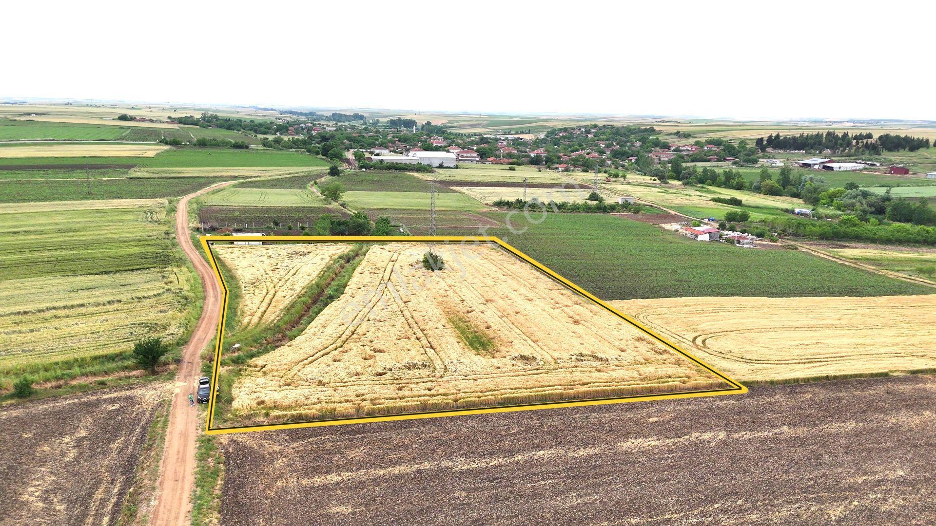 Edirne Süloğlu Geçkinli'de İmara 250m Sulanabilir Verimli 7360m² - Görsel 11