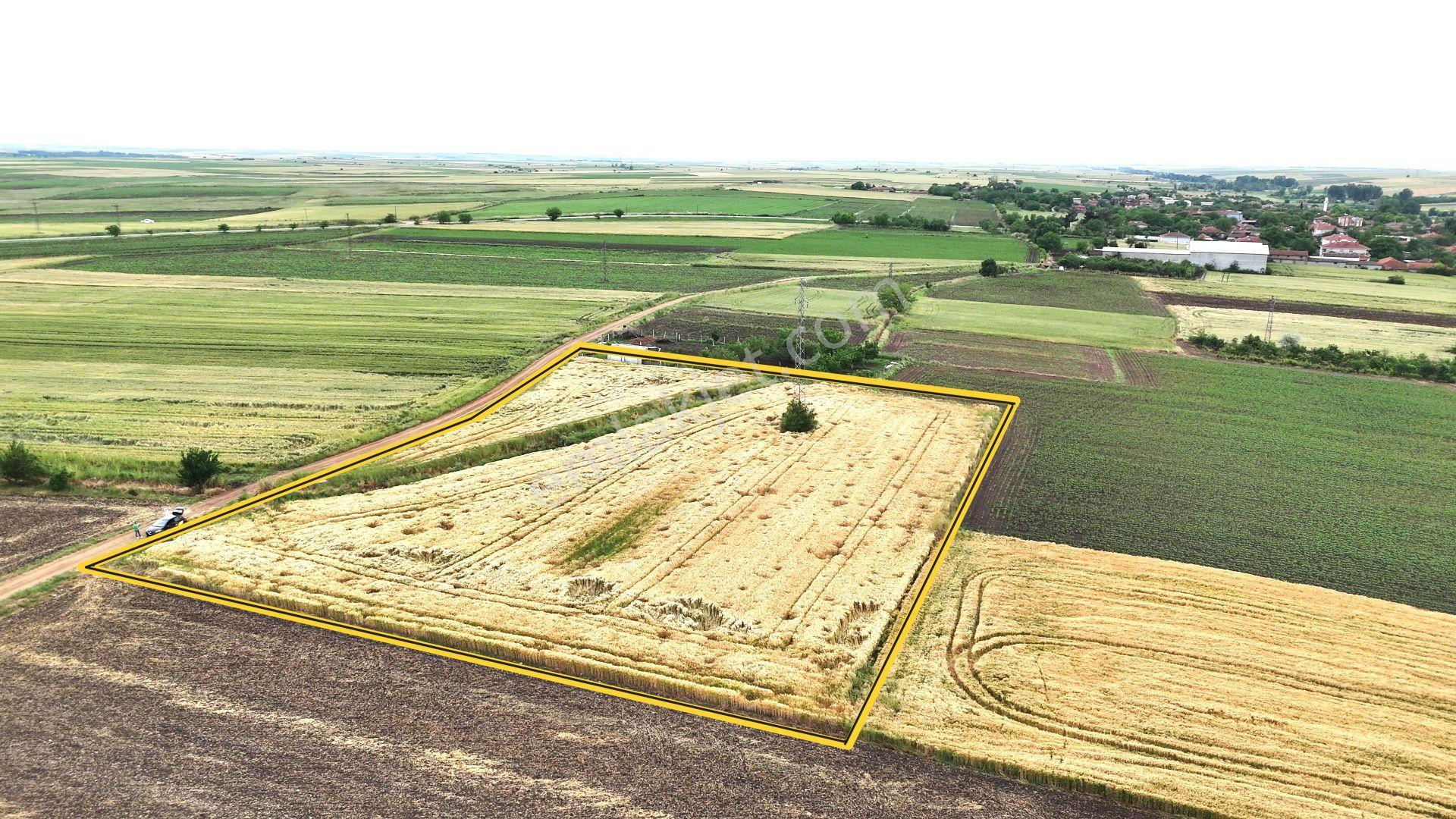 Edirne Süloğlu Geçkinli'de İmara 250m Sulanabilir Verimli 7360m² - Görsel 13