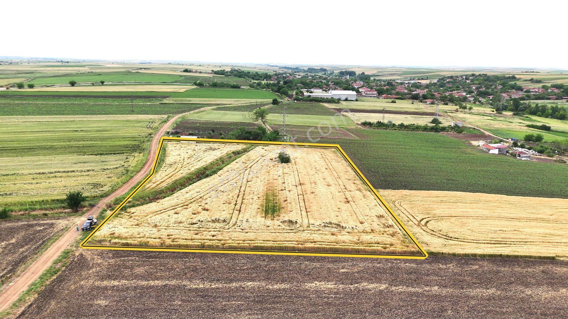 Edirne Süloğlu Geçkinli'de İmara 250m Sulanabilir Verimli 7360m² - Görsel 12