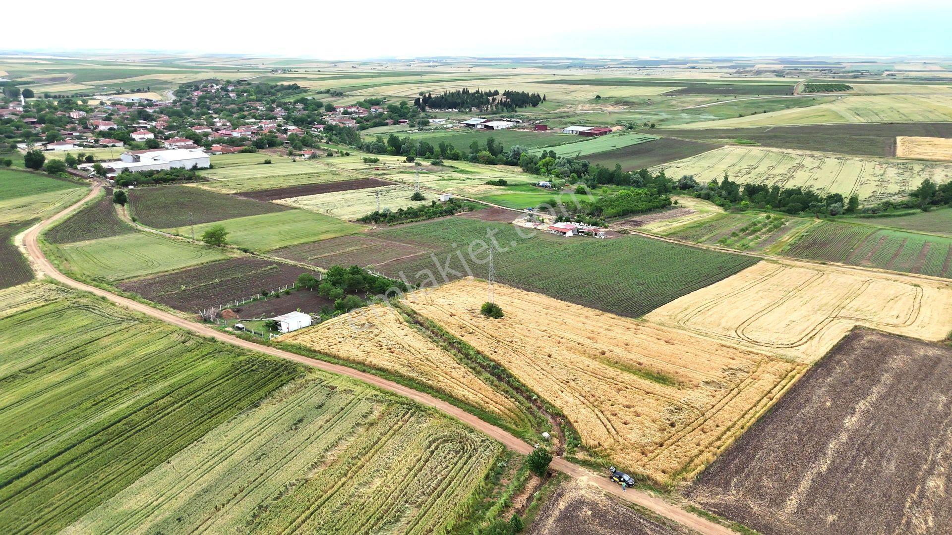 Edirne Süloğlu Geçkinli'de İmara 250m Sulanabilir Verimli 7360m² - Görsel 31