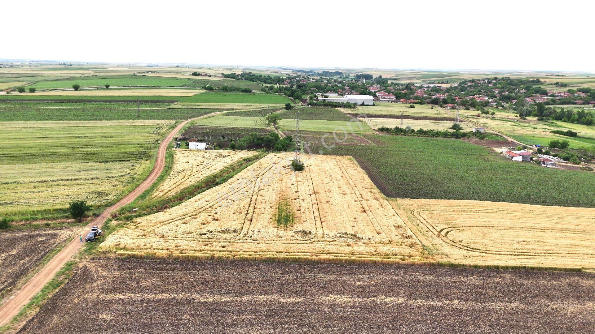 Edirne Süloğlu Geçkinli'de İmara 250m Sulanabilir Verimli 7360m² - Görsel 26